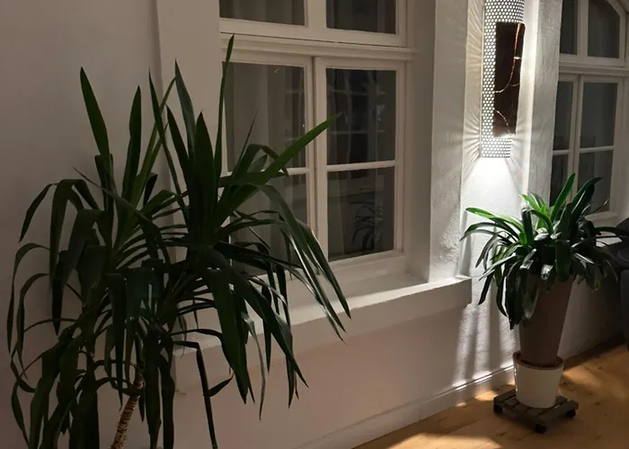 Boardinghouse Am Herforder Tor Fuer 8 Personen Auf 185 M2 Bad Salzuflen