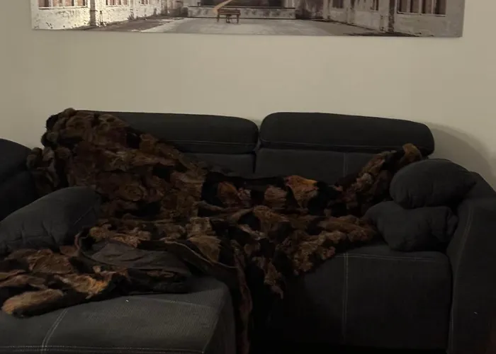 Daire Boardinghouse Am Herforder Tor Fuer 8 Personen Auf 185 M2 Bad Salzuflen