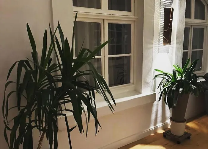 Boardinghouse Am Herforder Tor Fuer 8 Personen Auf 185 M2 Daire Bad Salzuflen