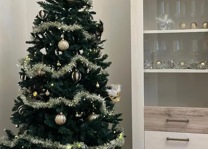 Appartement Boardinghouse Am Herforder Tor Fuer 8 Personen Auf 185 M2 Bad Salzuflen